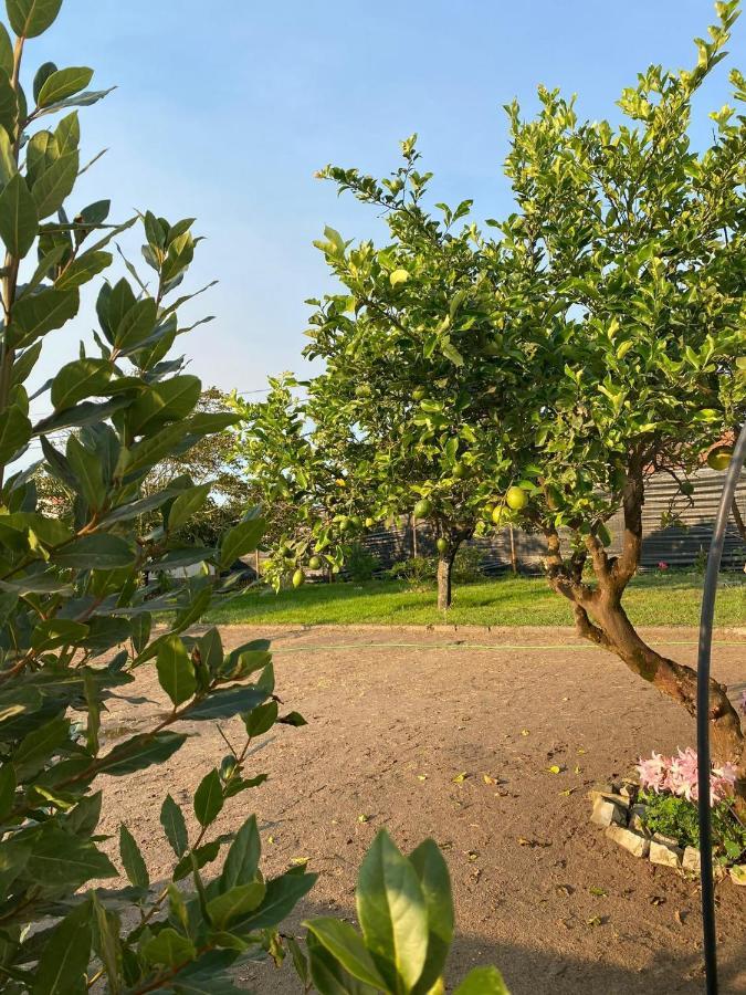 Moita Cottage Екстер'єр фото